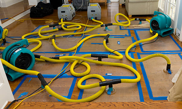 Professional Water Damage Restoration technician working in Whitfield, FL